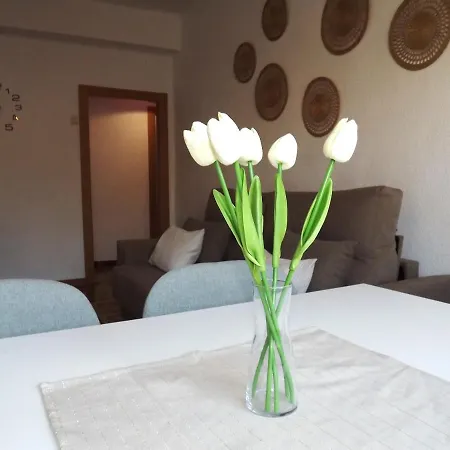 H&h Plaza De Toros Apartment *